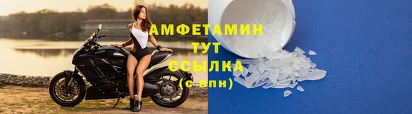 амф Алексин
