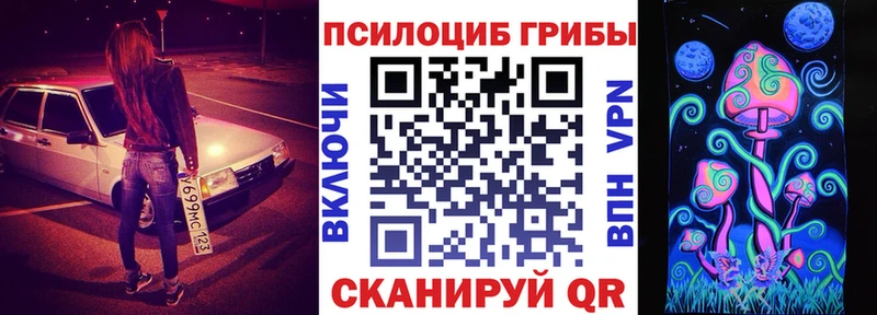где купить наркоту  Кувшиново  Псилоцибиновые грибы прущие грибы 